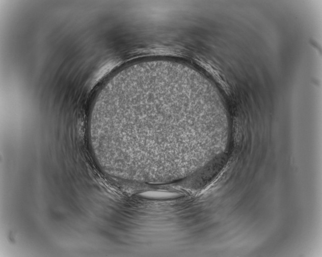 X0000094951163200712271651