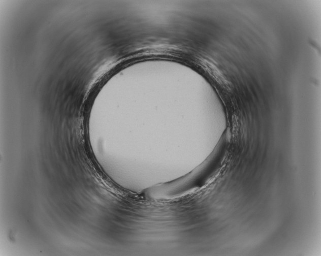 X0000094951164200712271651