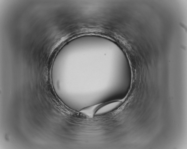 X0000094951165200712271651