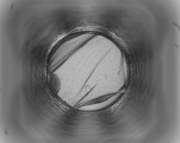 X0000094951166200712271651