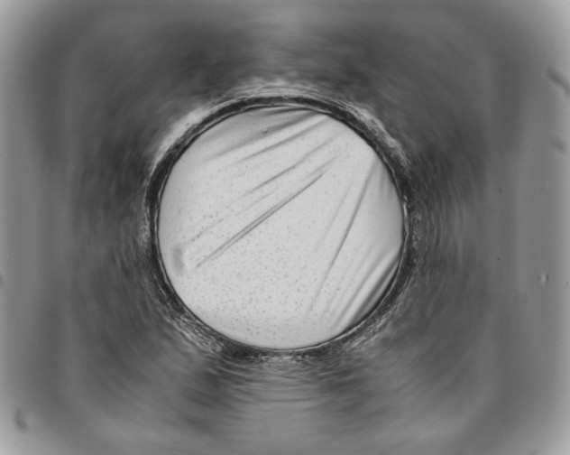 X0000094951167200712271651