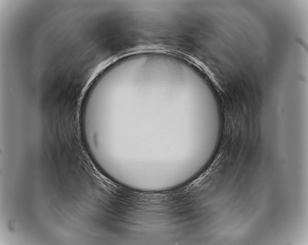 X0000094951168200712271651