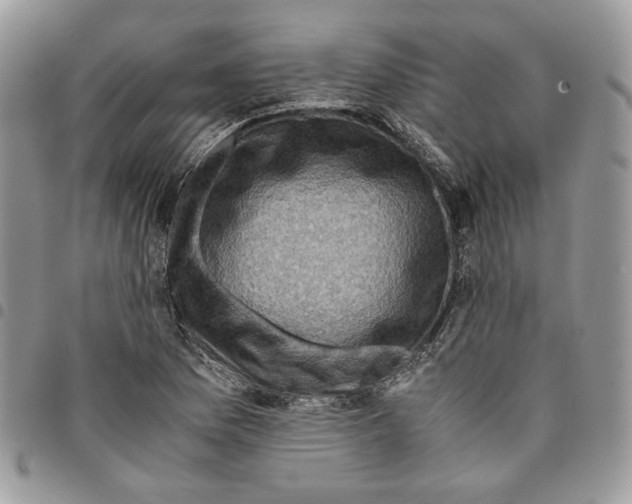 X0000094951169200712271651