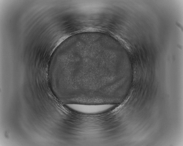 X0000094951170200712271651