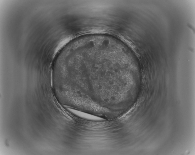 X0000094951171200712271651