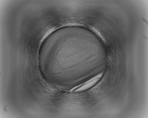 X0000094951173200712271651