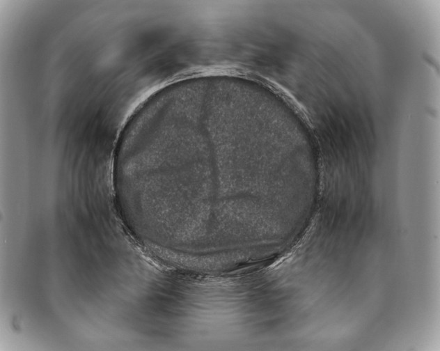 X0000094951174200712271651