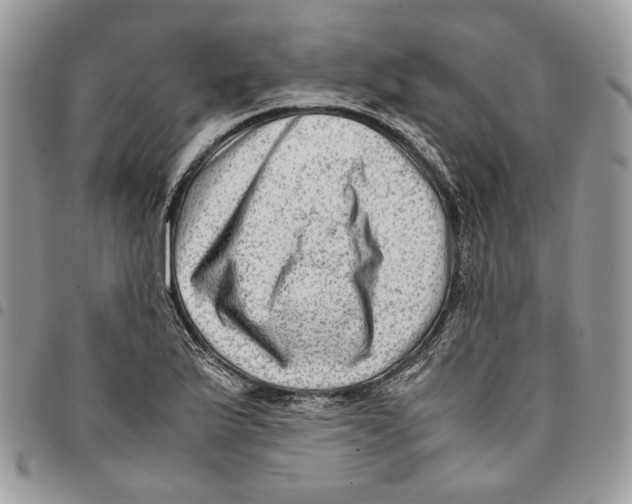 X0000094951175200712271651