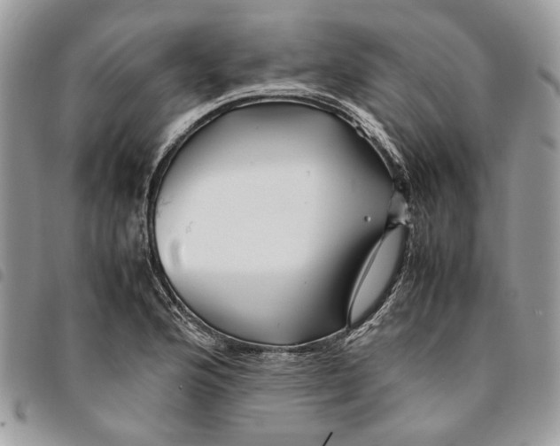 X0000094951176200712271651