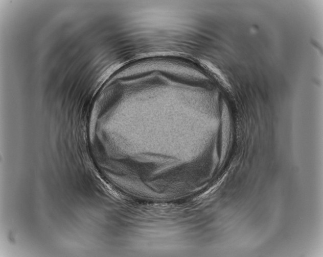 X0000094951177200712271651