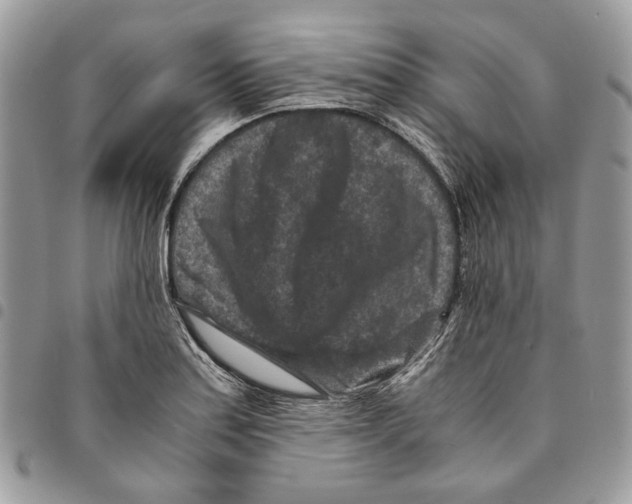 X0000094951179200712271651