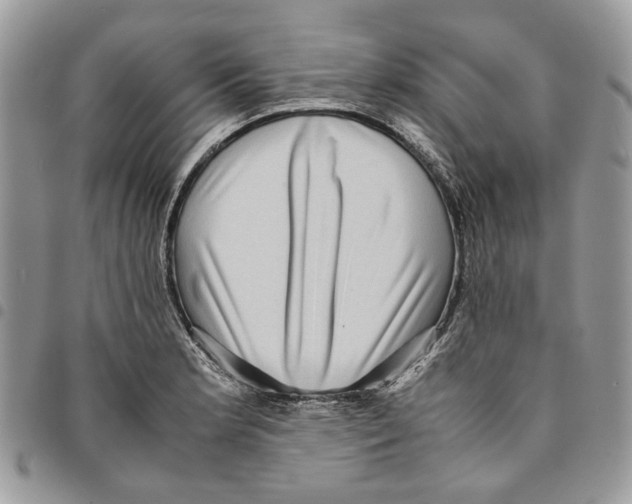 X0000094951181200712271651