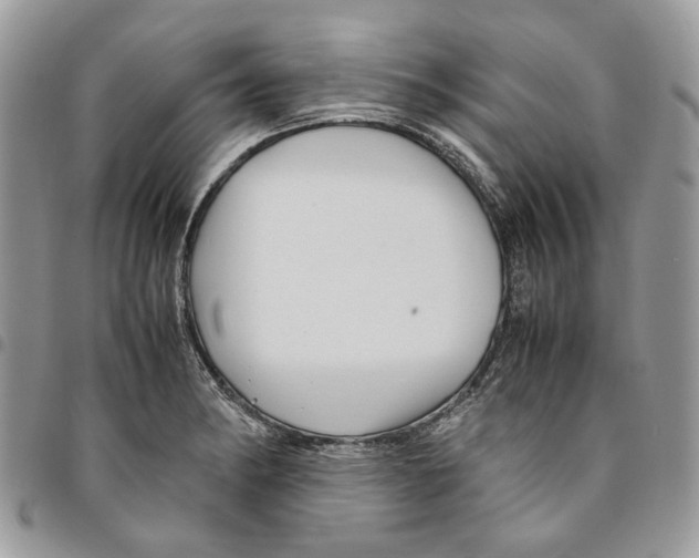 X0000094951182200712271651