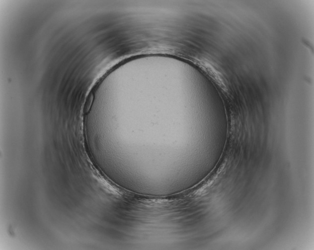 X0000094951184200712271651