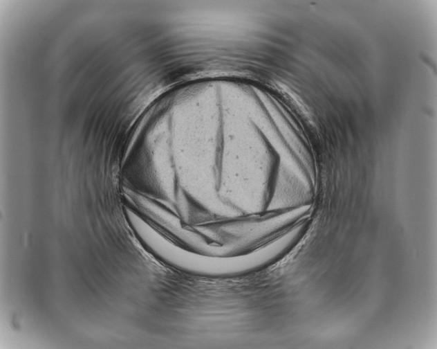 X0000094951185200712271651