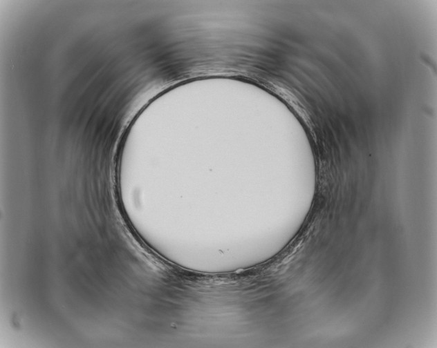 X0000094951187200712271651