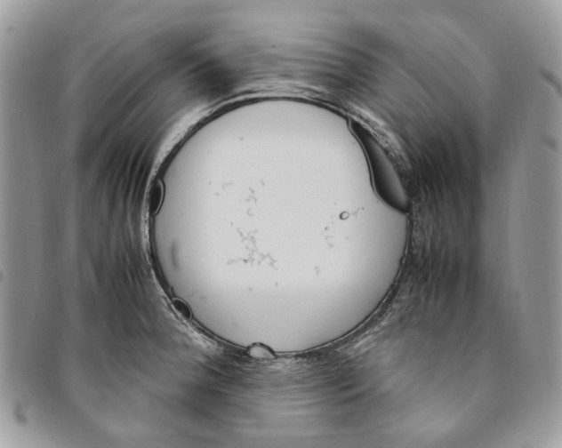 X0000094951188200712271651