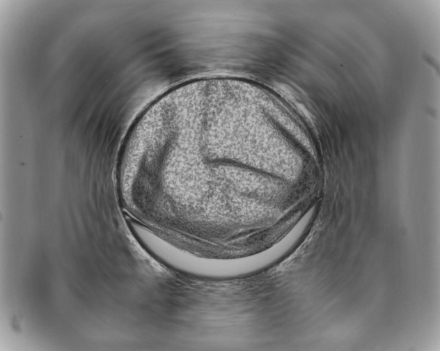 X0000094951189200712271651