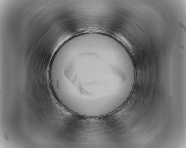 X0000094951190200712271651