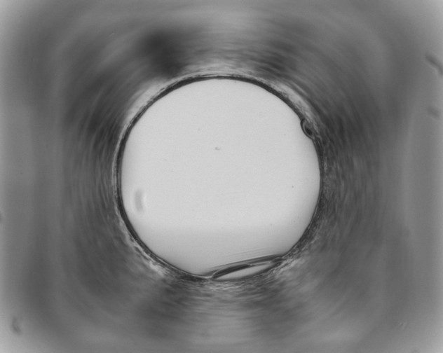 X0000094951191200712271651