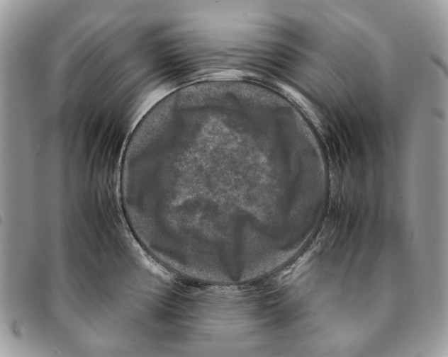 X0000094951194200712271651