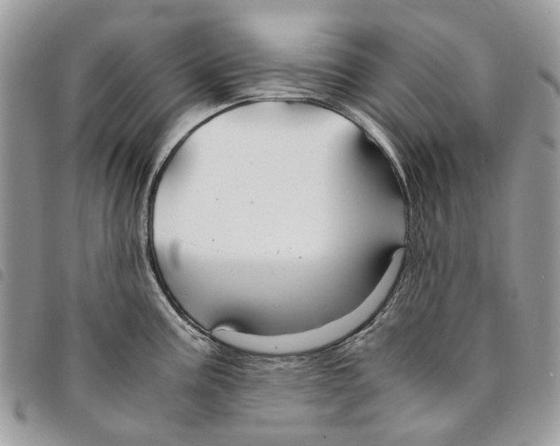 X0000094951195200712271651