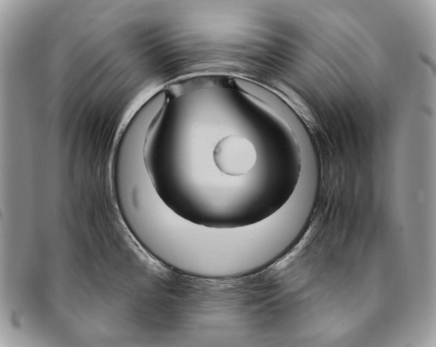 X0000094951196200712271651