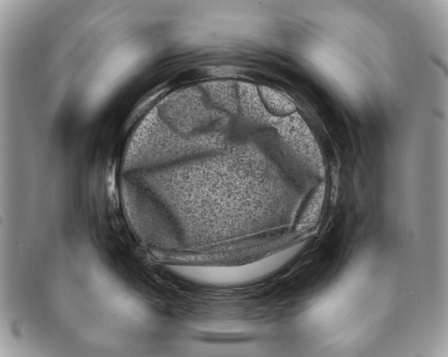 X0000094951198200712271651