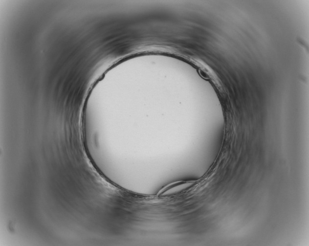 X0000094951199200712271651