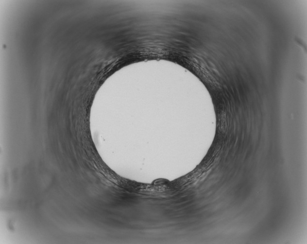 X0000094951201200712271650