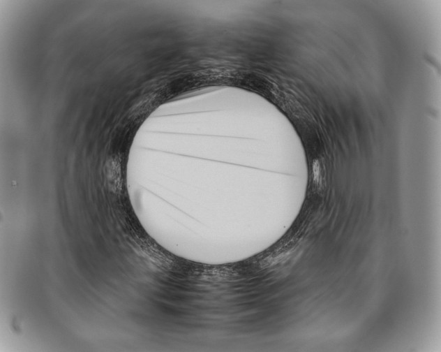 X0000094951203200712271650