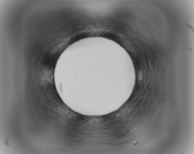 X0000094951204200712271650