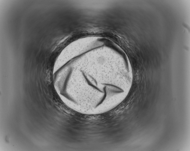 X0000094951205200712271650