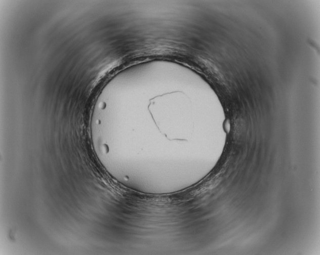 X0000094951210200712271650