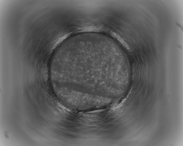 X0000094951213200712271650