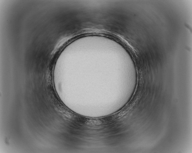 X0000094951215200712271650