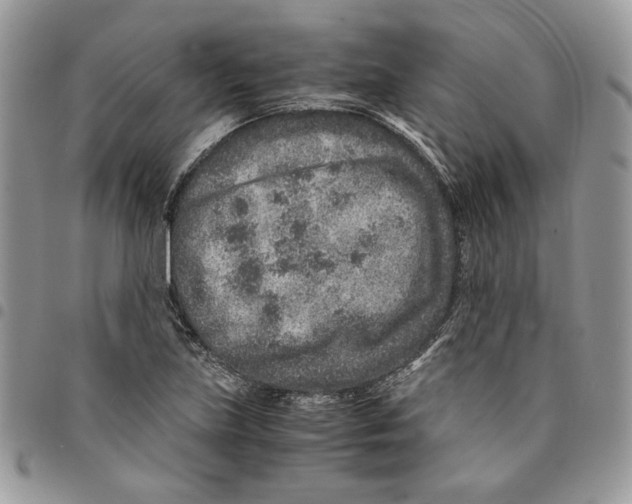 X0000094951219200712271650