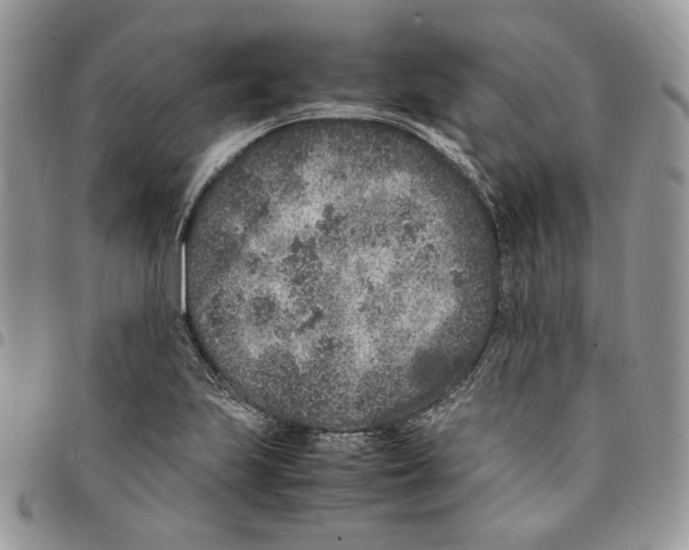 X0000094951223200712271650