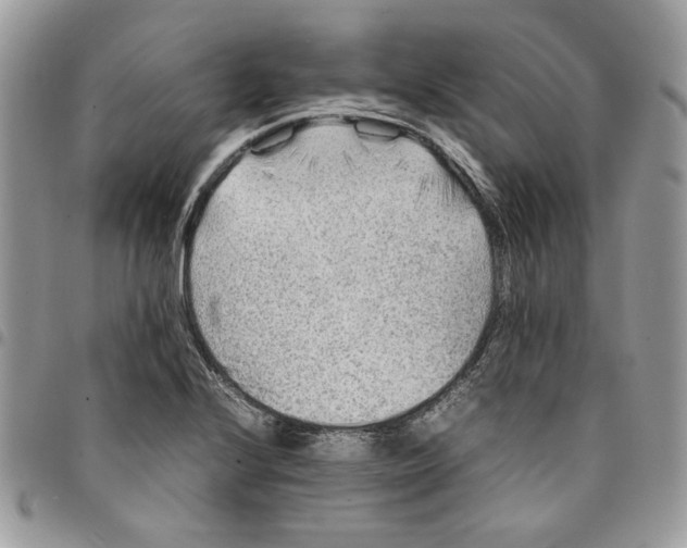 X0000094951224200712271650