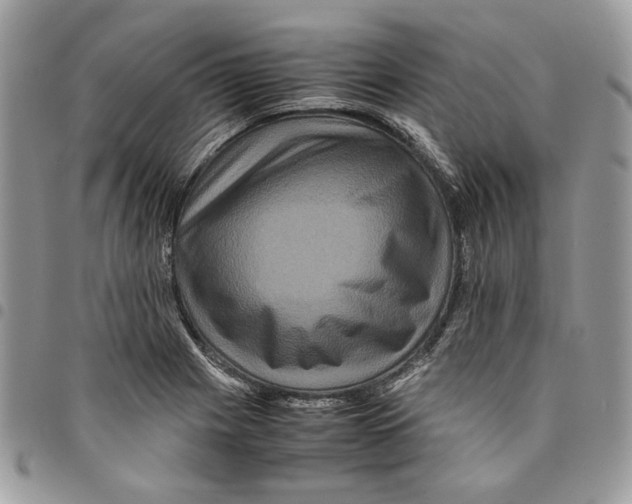 X0000094951225200712271650