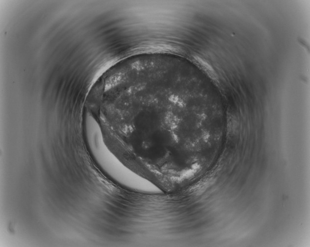 X0000094951226200712271650