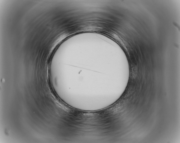 X0000094951227200712271650