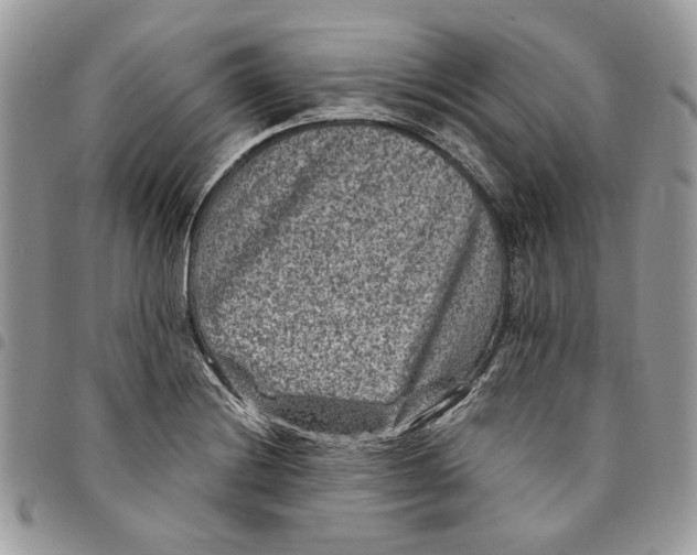 X0000094951228200712271650