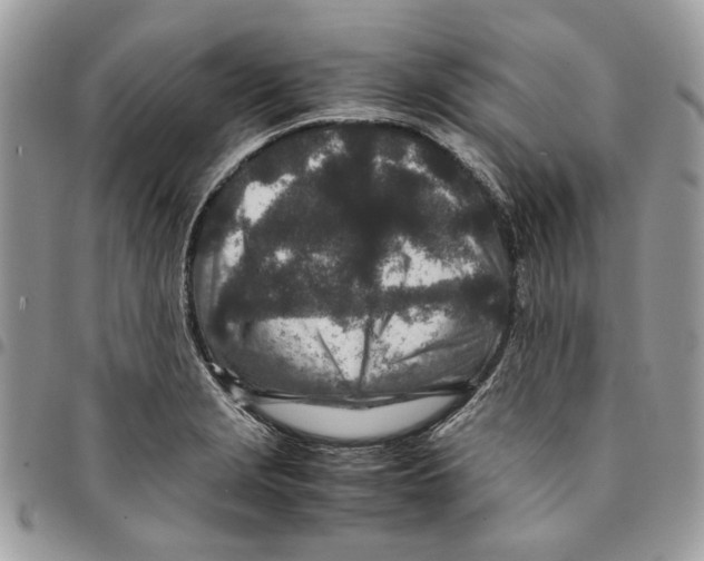 X0000094951229200712271650