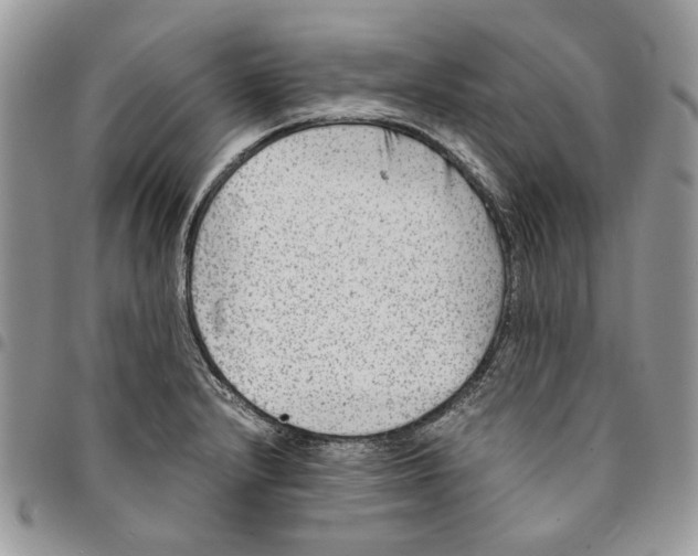 X0000094951232200712271650