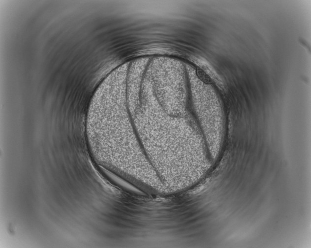 X0000094951233200712271650