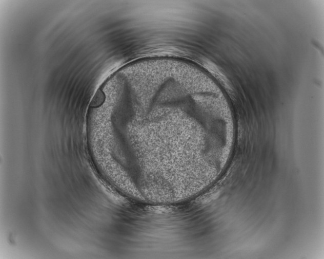 X0000094951234200712271650