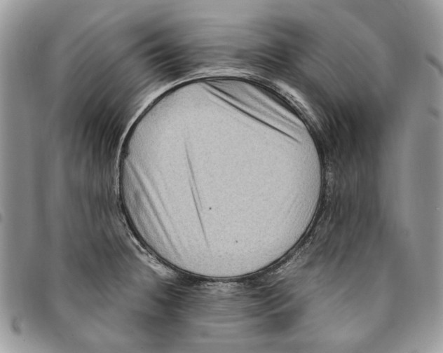 X0000094951236200712271650