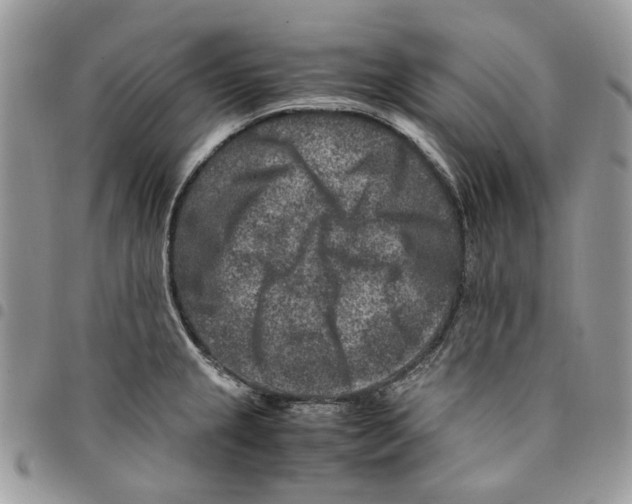 X0000094951237200712271650