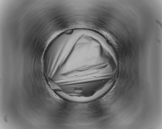 X0000094951238200712271650